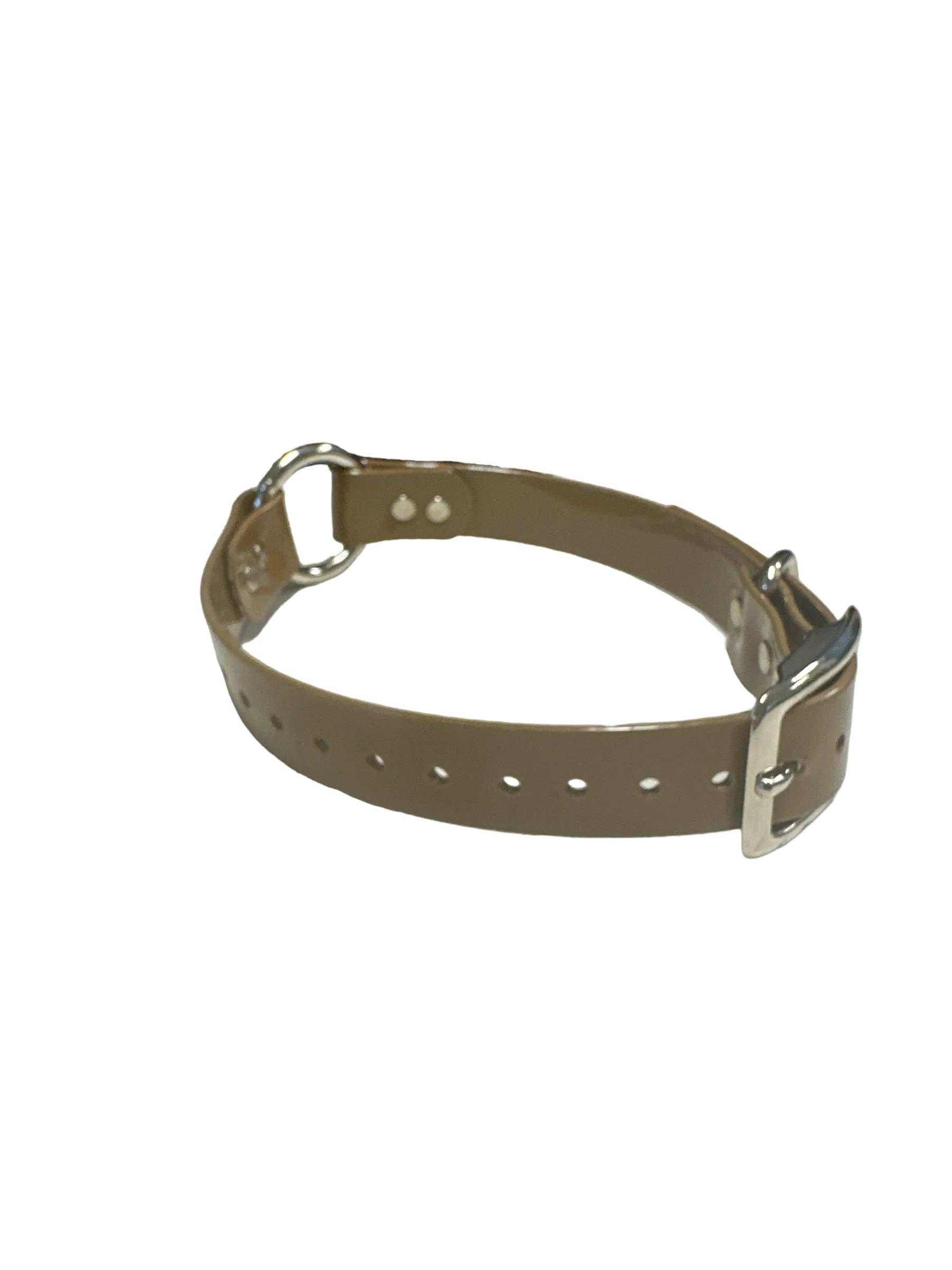 1'' Dayglo Collar w Center Ring