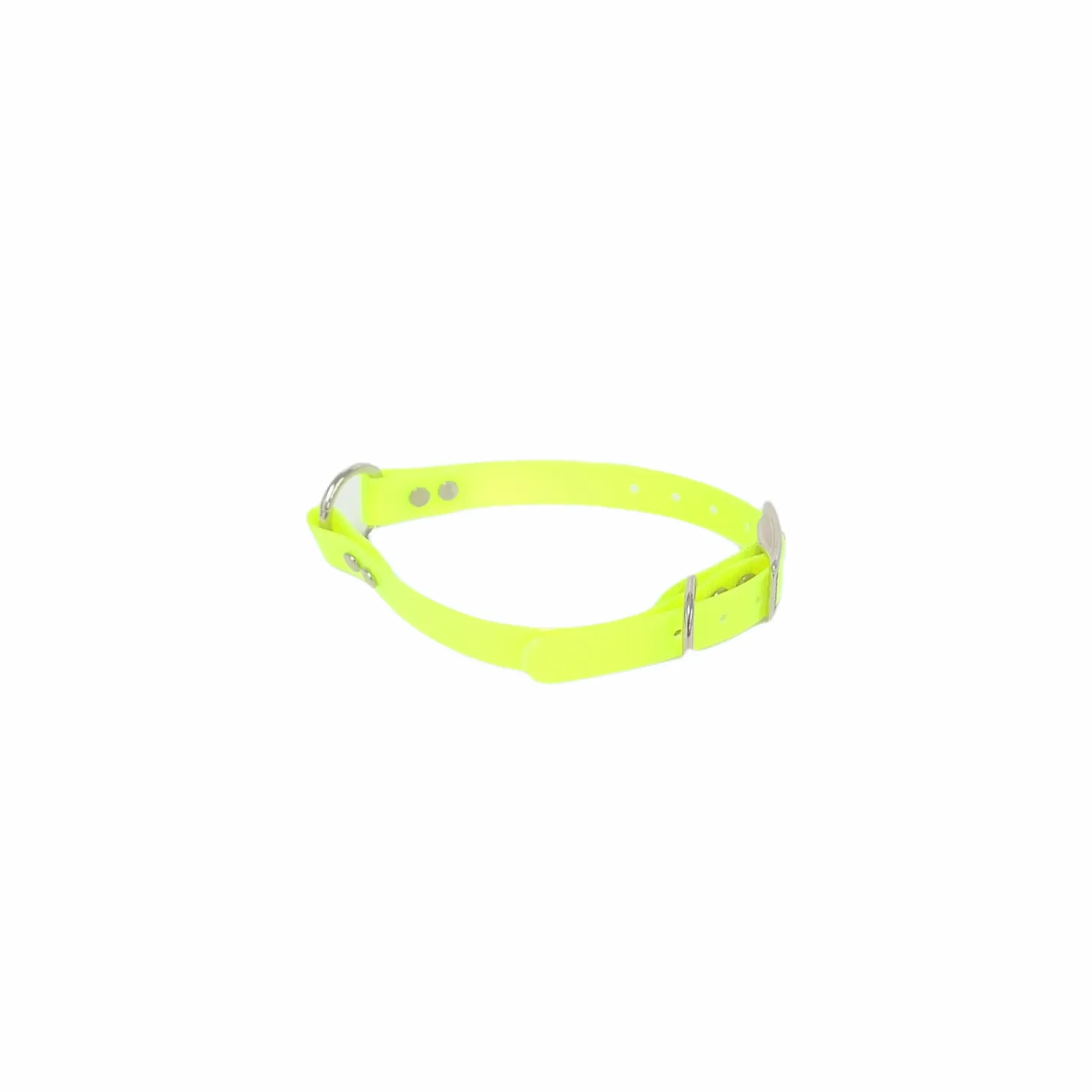1'' Dayglo Collar w Center Ring
