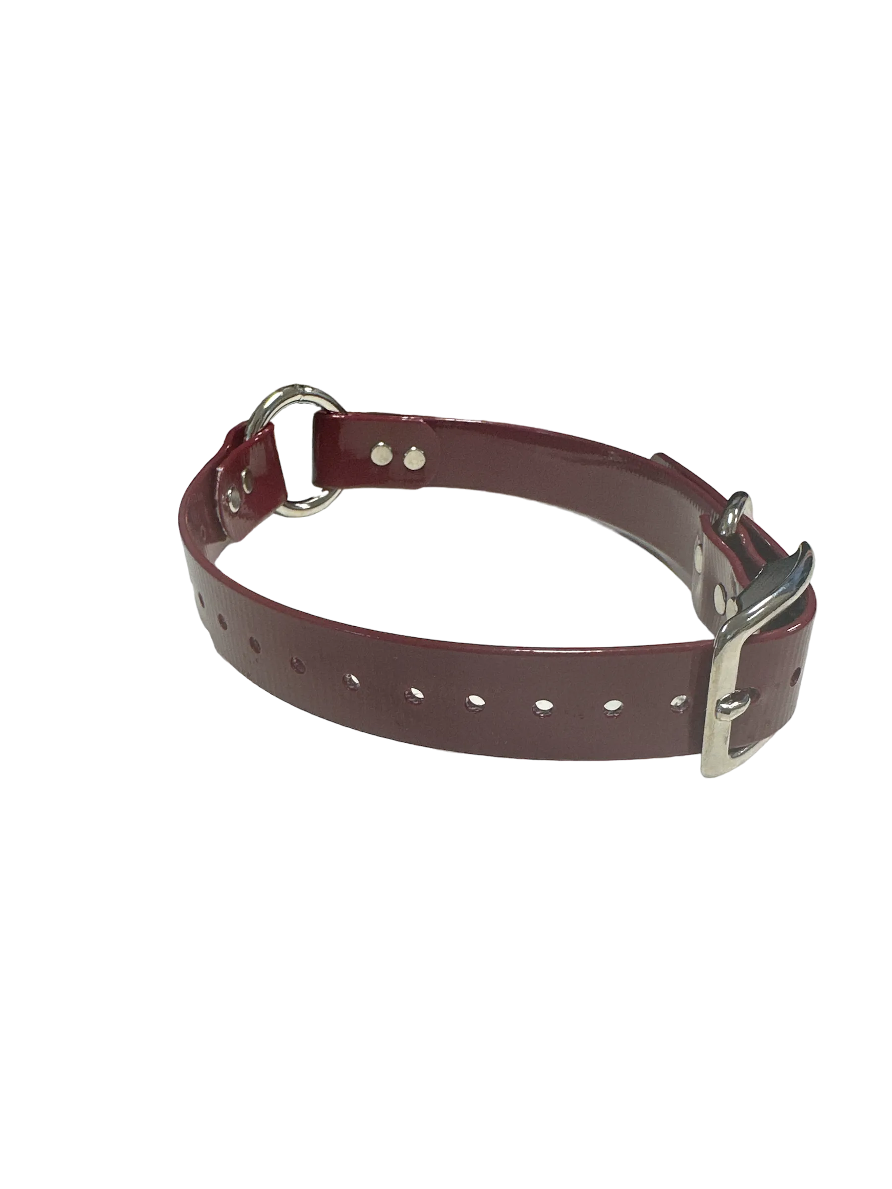 1'' Dayglo Collar w Center Ring