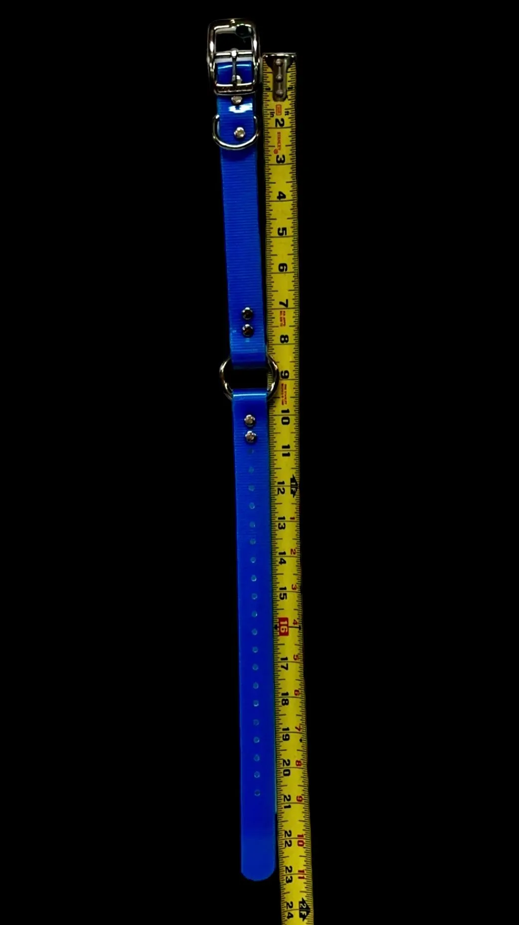 1'' Dayglo Collar w Center Ring