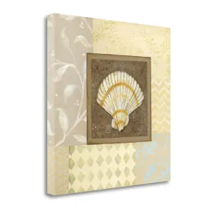 20" Seashell with Multi-Pattern Background Giclee Wrap Canvas Wall Art