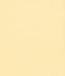 3905-01 Finesse - Buttercream