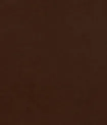 3905-11 Finesse - Brazil Nut