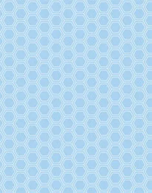 a|s cardstock - petite hexagon sky