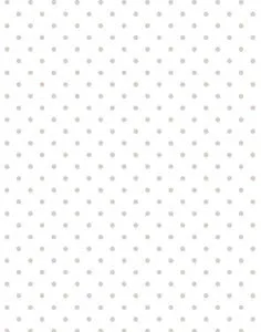 a|s cardstock - reverse polka dot pebble