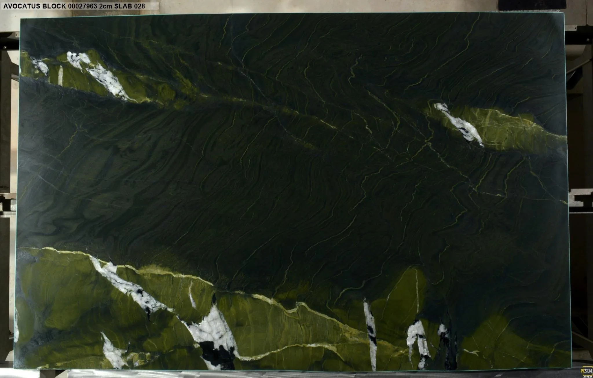 AVOCATUS Quartzite Polished Slab