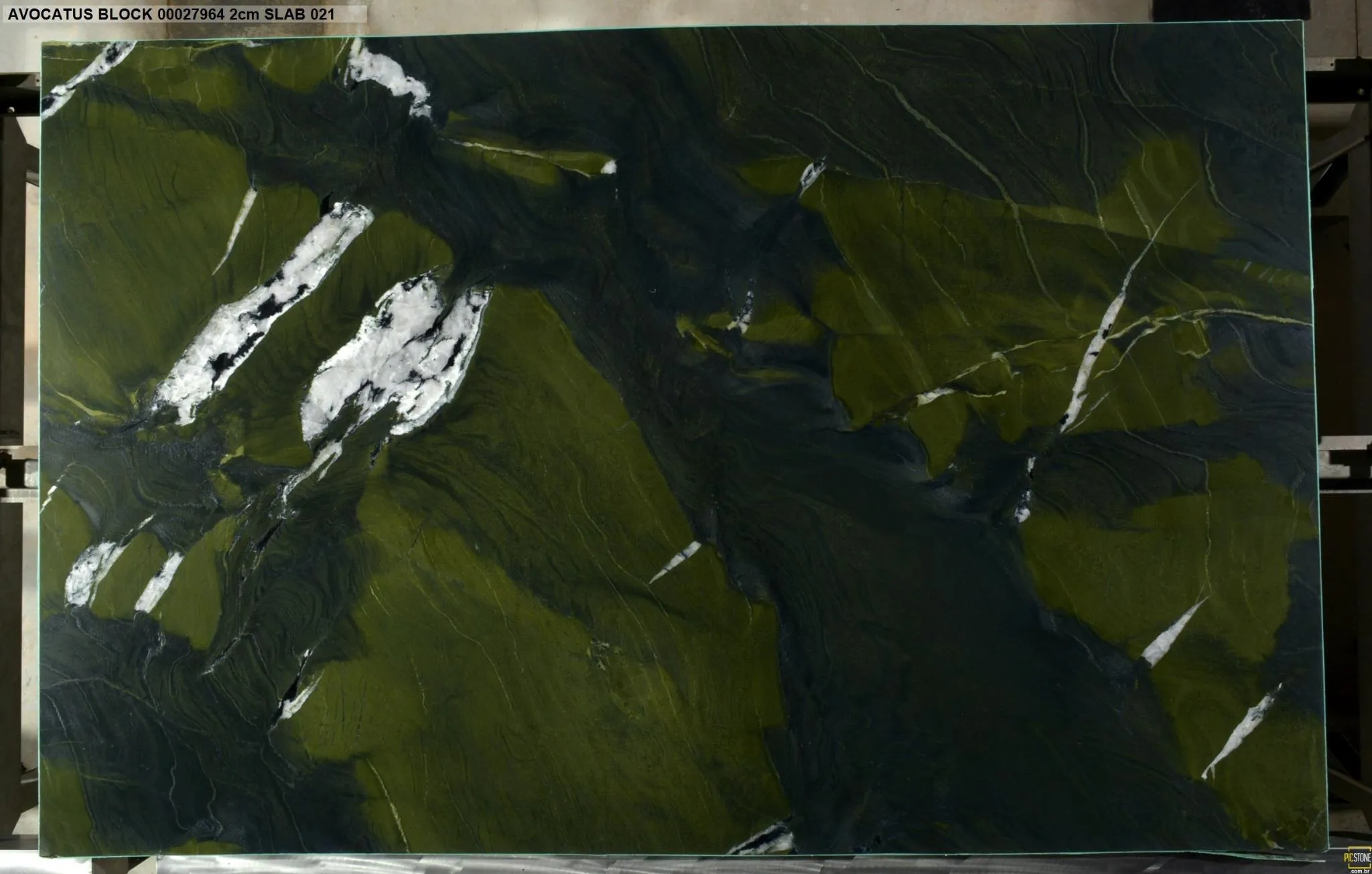 AVOCATUS Quartzite Polished Slab