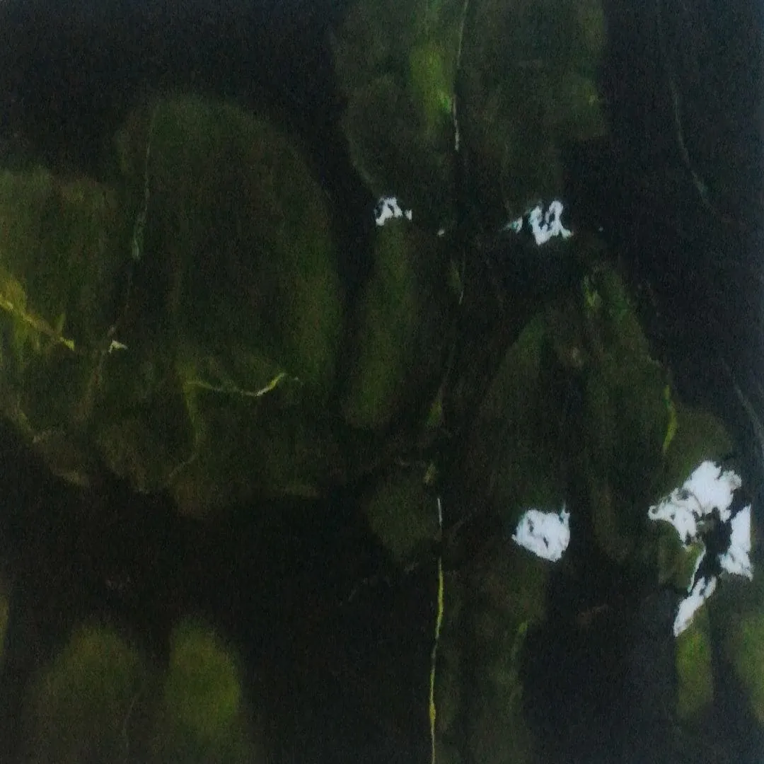 AVOCATUS Quartzite Polished Slab