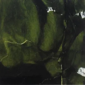 AVOCATUS Quartzite Polished Slab