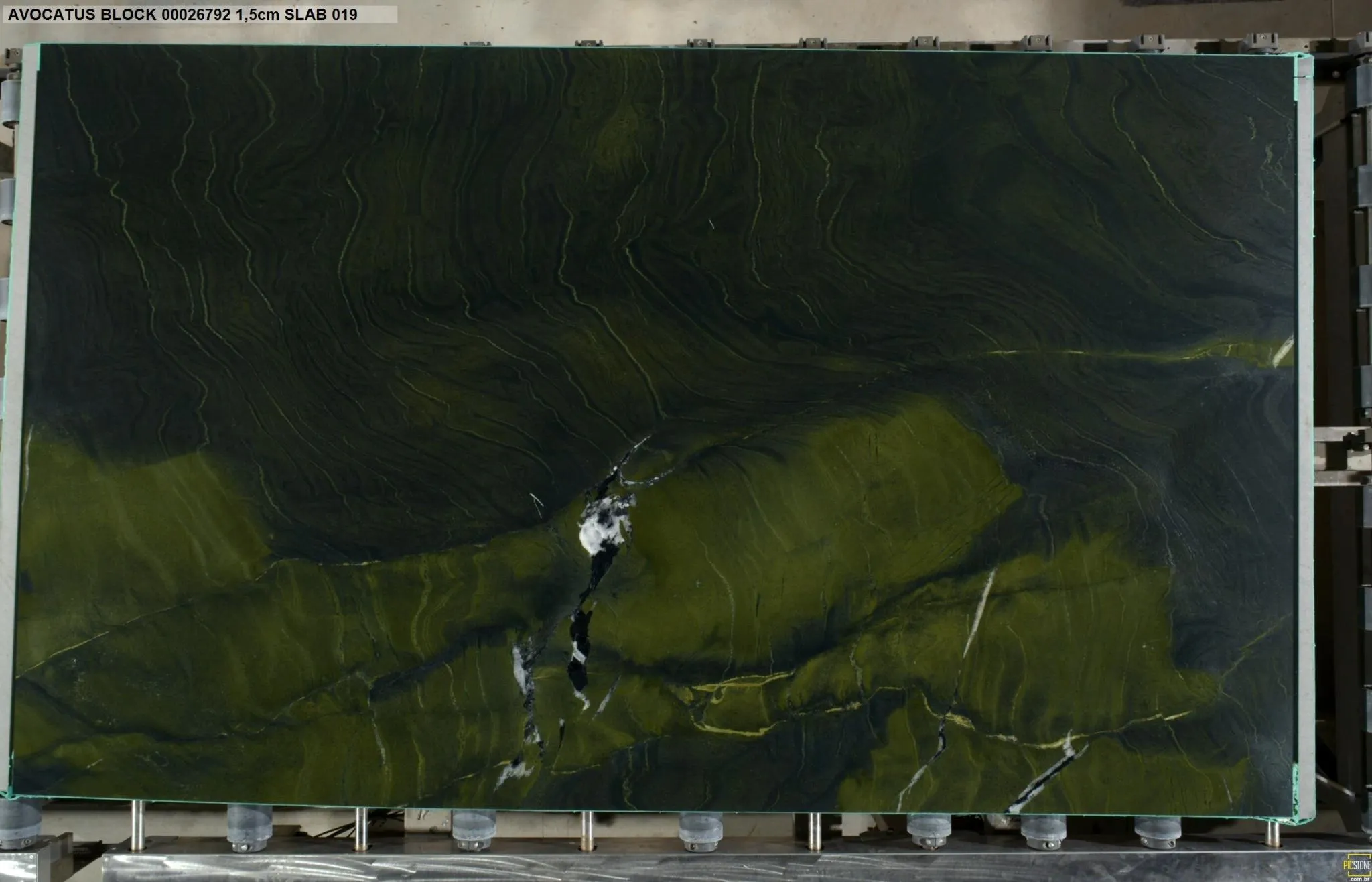 AVOCATUS Quartzite Polished Slab