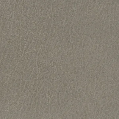 Celine-11