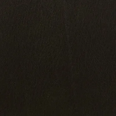 Celine-66