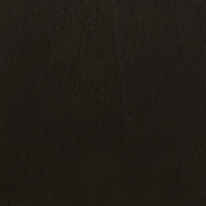 Celine-66