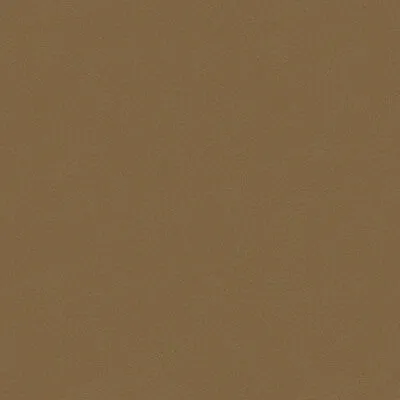 Chadrick-106