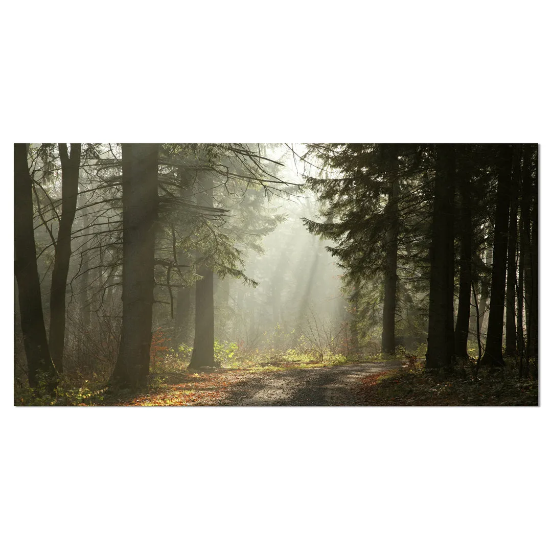Dark Green Forest with Sun Rays - Photograph Print on Canvas Design Art Size: 8" H x 12" W x 1" D