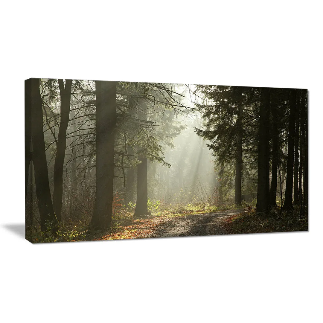 Dark Green Forest with Sun Rays - Photograph Print on Canvas Design Art Size: 8" H x 12" W x 1" D
