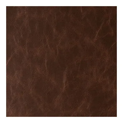 Daytripper-Hot Chocolate