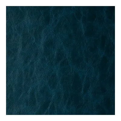 Daytripper-Neptune
