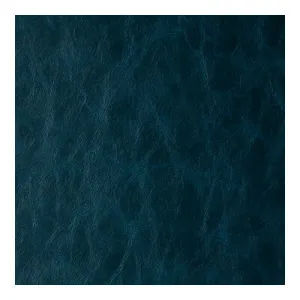 Daytripper-Neptune