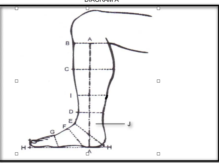 Deniro Raffaello Dressage boot Rondine top