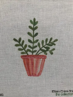 ECT479G Cactus short pot
