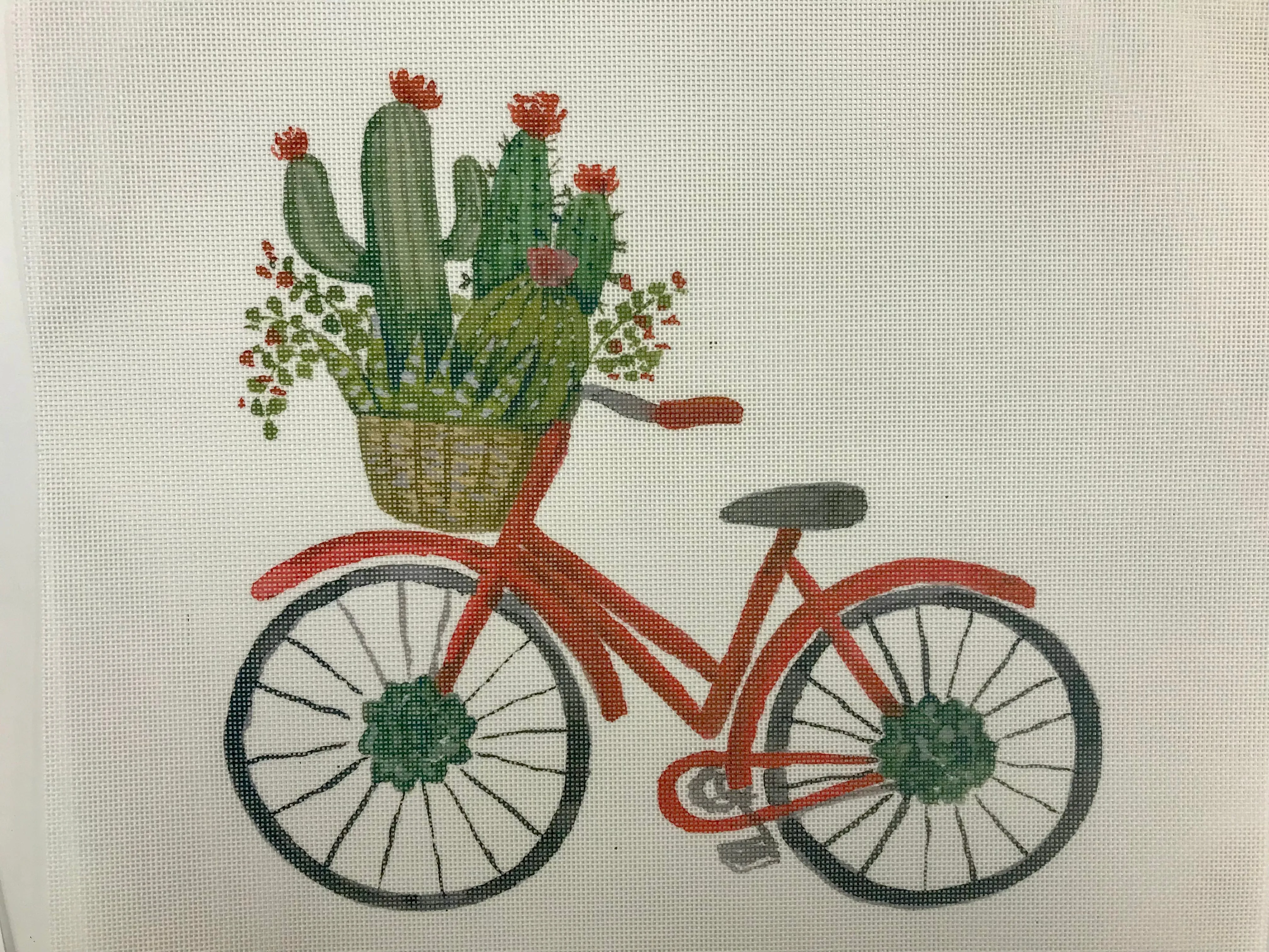 ECT829B Bicycle w/Basket of Cactus