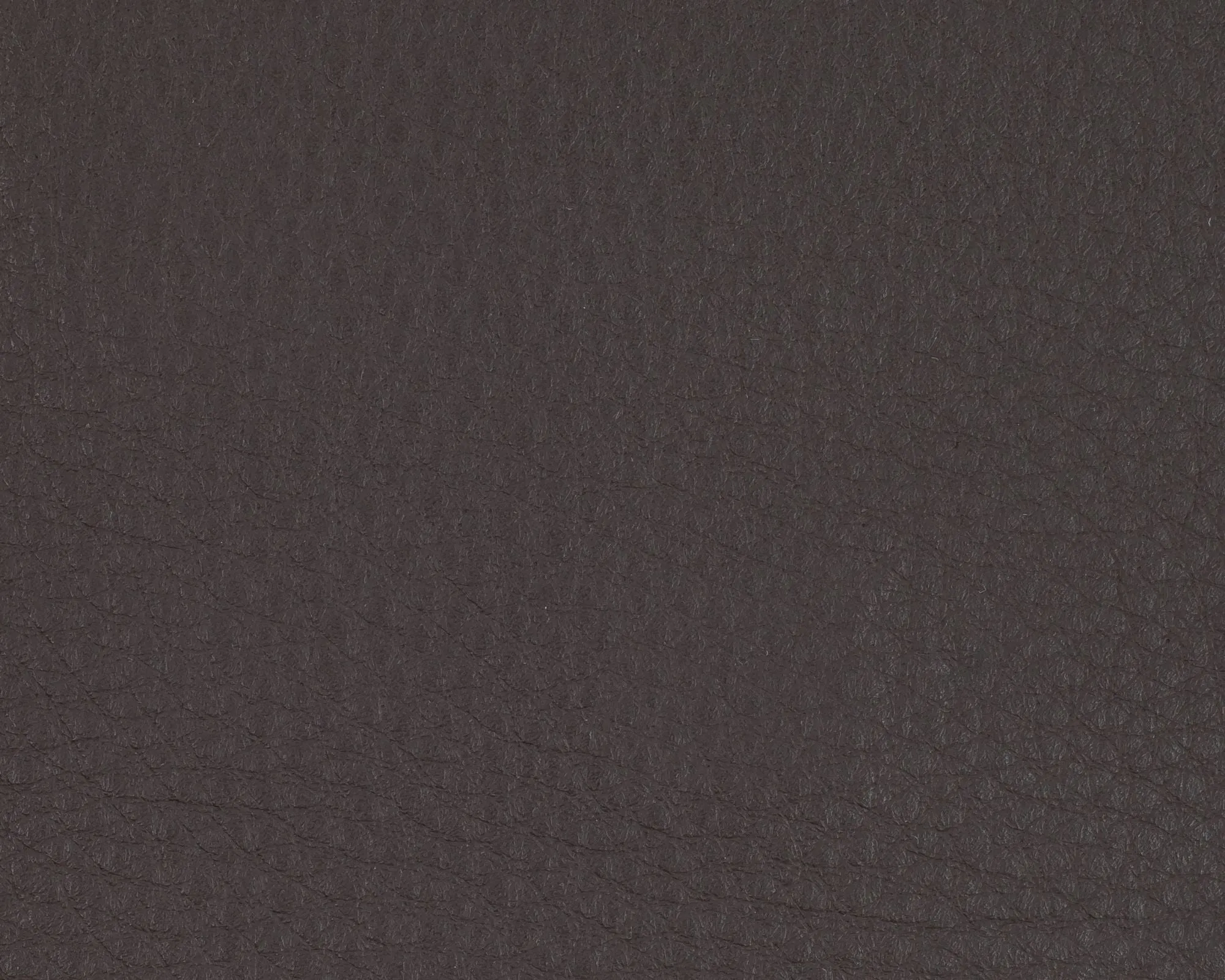 Faith Leather - Brown