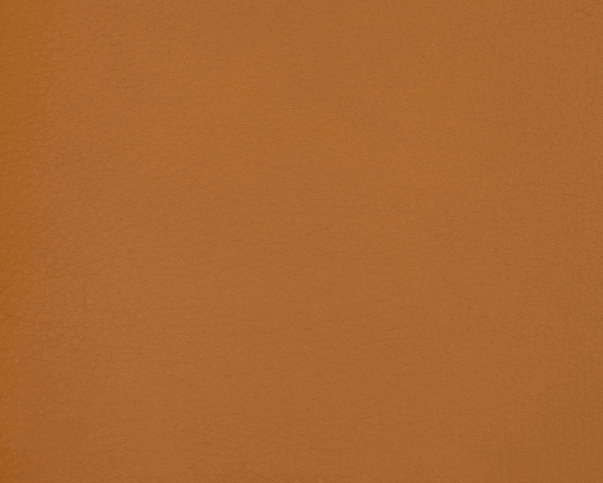 Faith Leather - Cognac