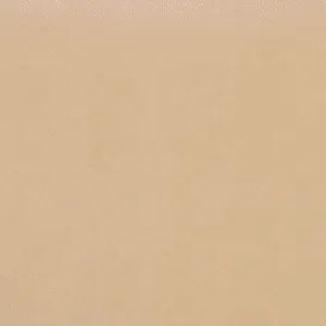 Fawn-16