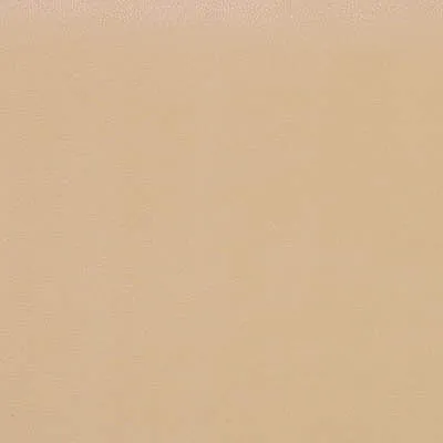 Fawn-16