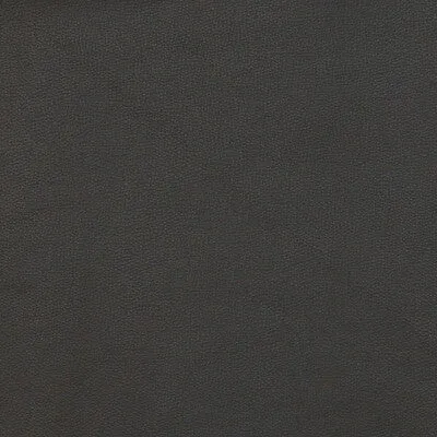 Fawn-8