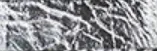 Foiled Embossed Striped Typography - Faux Leather - Silver