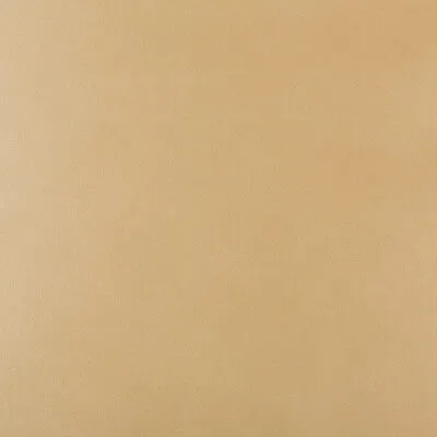 Frankel-16