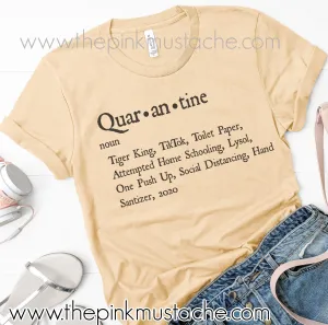 Funny Quarantine Definition Tee / Bella Canvas Tee/ Quar-An-Tine - Noun
