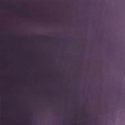Gloss Over-Plum