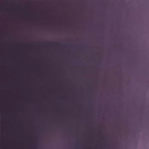Gloss Over-Plum
