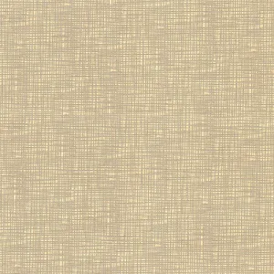 Inscribed-Sand
