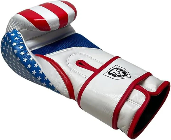 Invincible Fight Gear Hook and Loop Leather Training Boxing Gloves