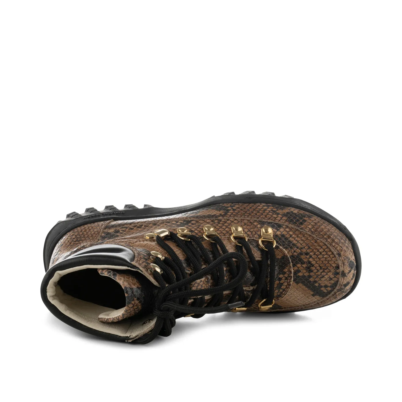 Iris Track Snake - Brown Snake