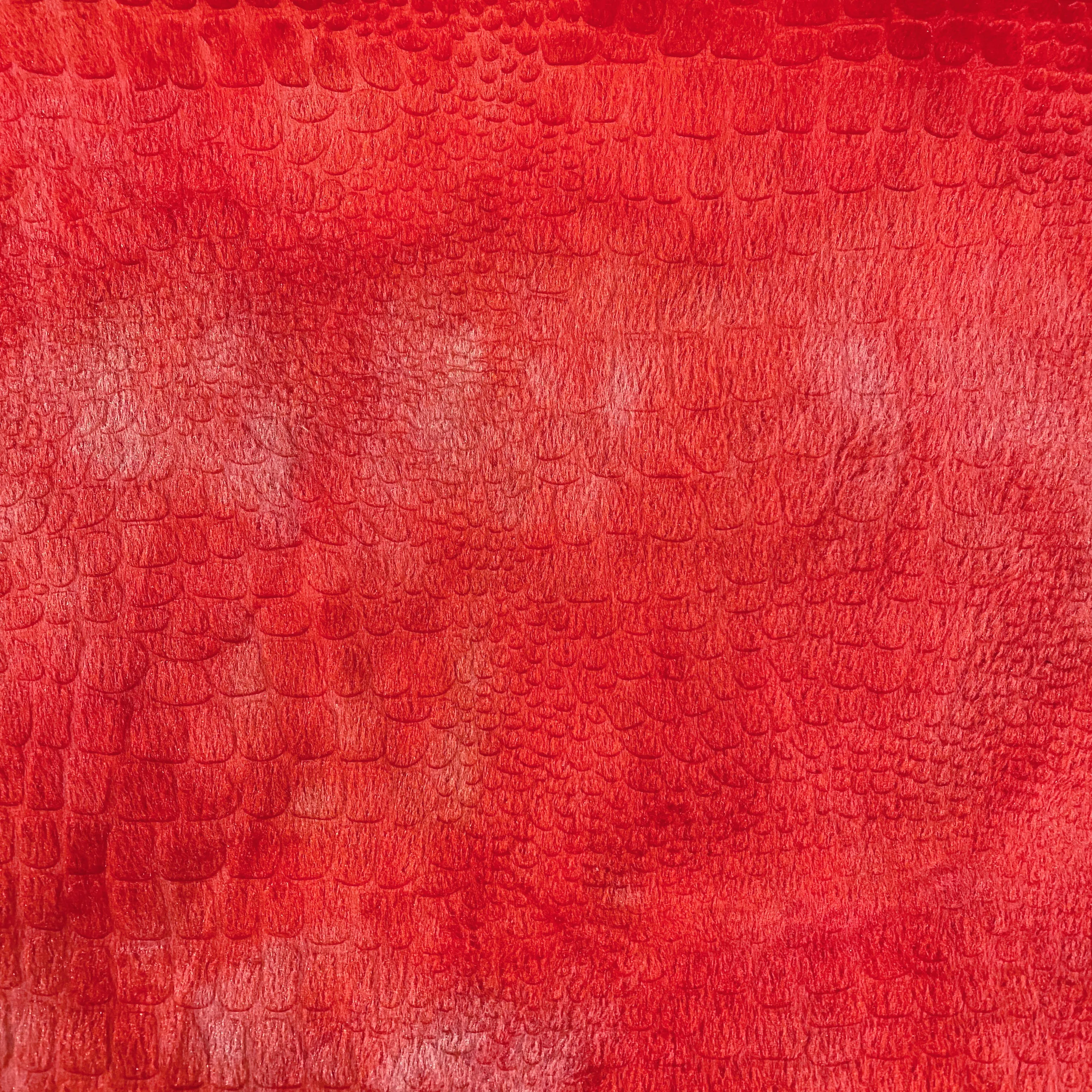 Knitted - Short Cut Pile - Embossed Crocodile Print - Lobster
