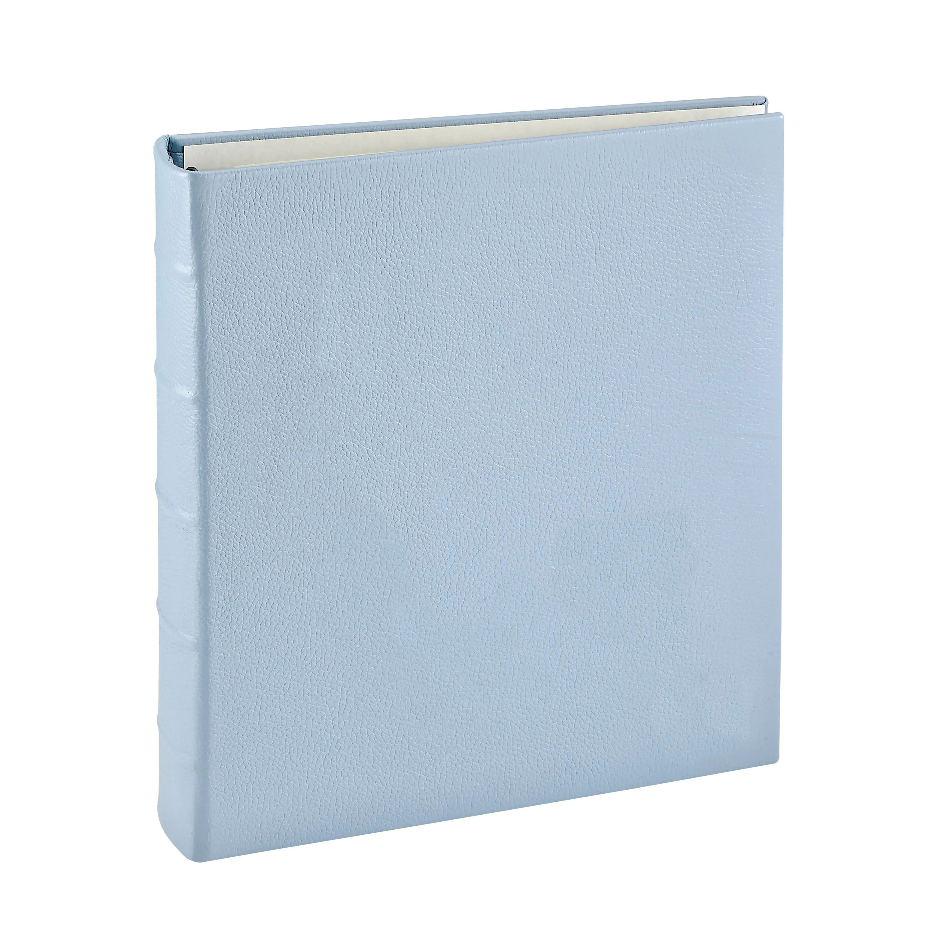 Large 3-Ring Clear Pocket Album