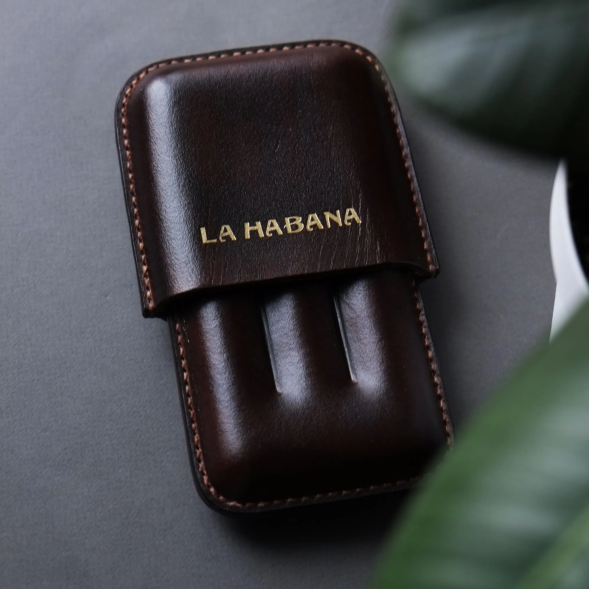LEATHER CIGAR CASE / TAN