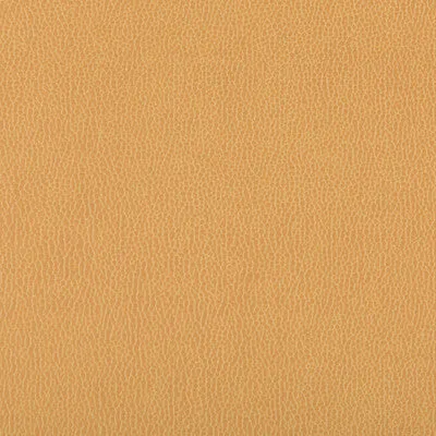 Lenox-Camel