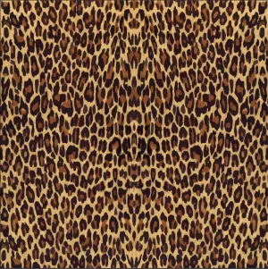 Leopard/Cheetah Printed Vinyl