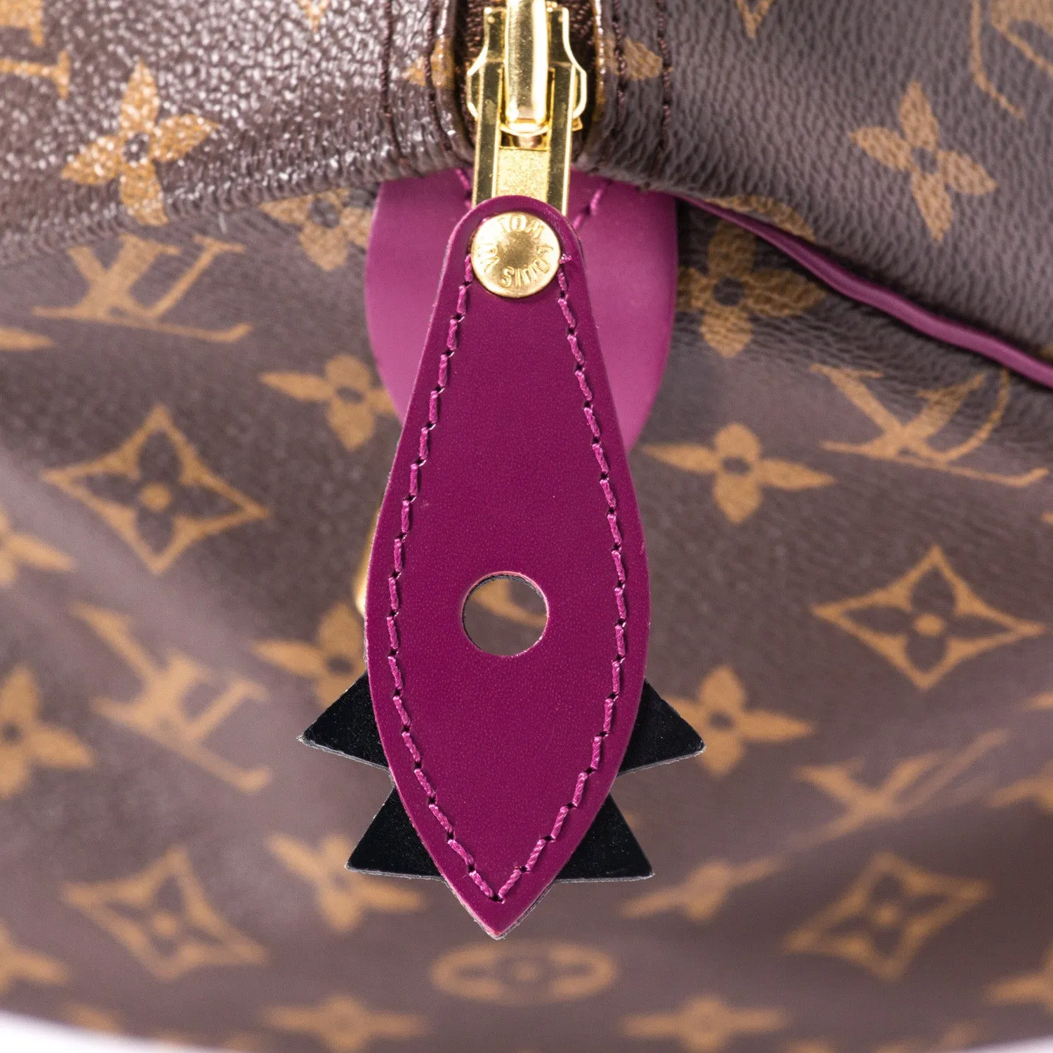 Louis Vuitton Speedy 30 Totem
