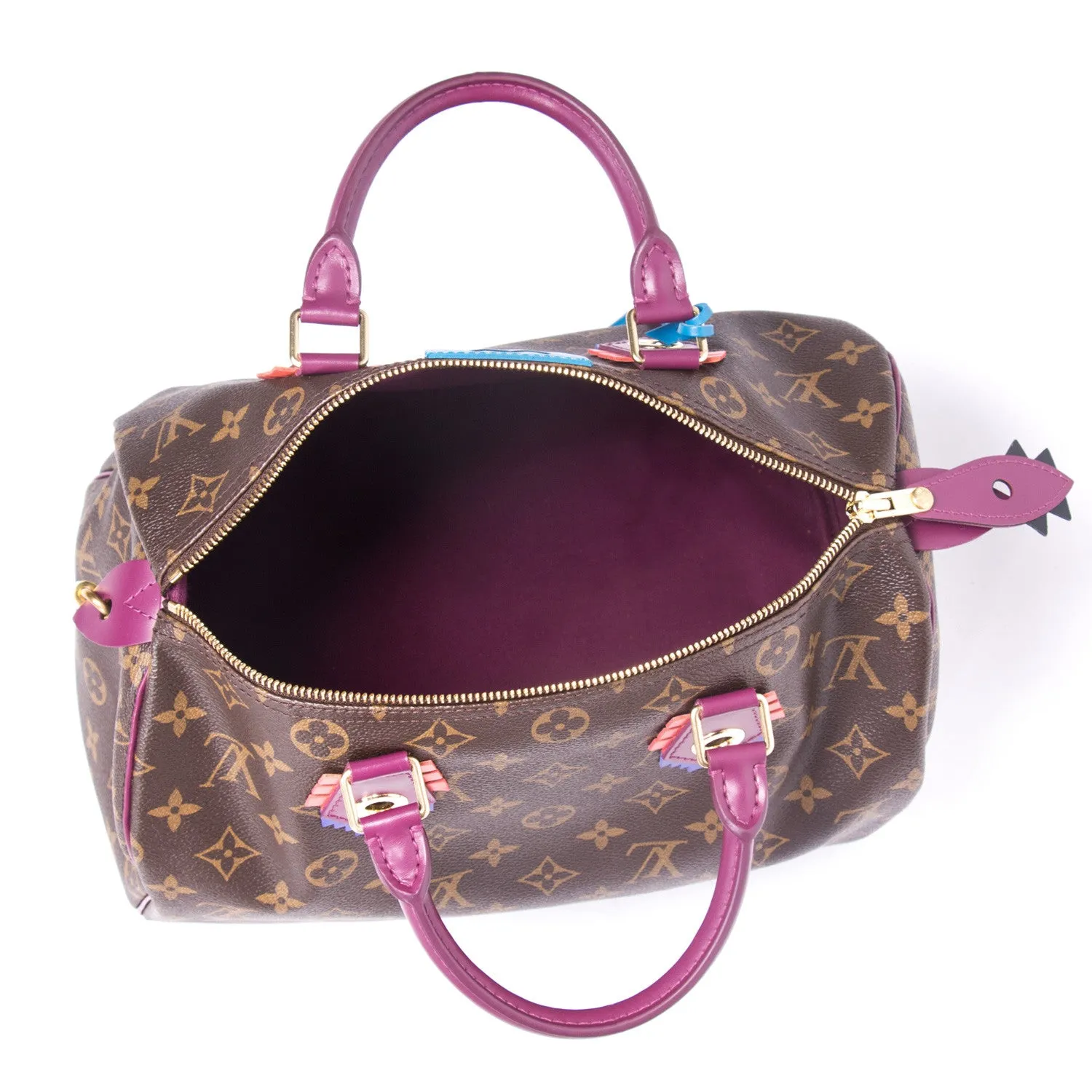 Louis Vuitton Speedy 30 Totem