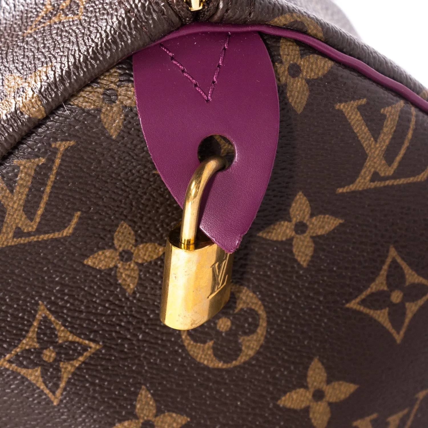 Louis Vuitton Speedy 30 Totem
