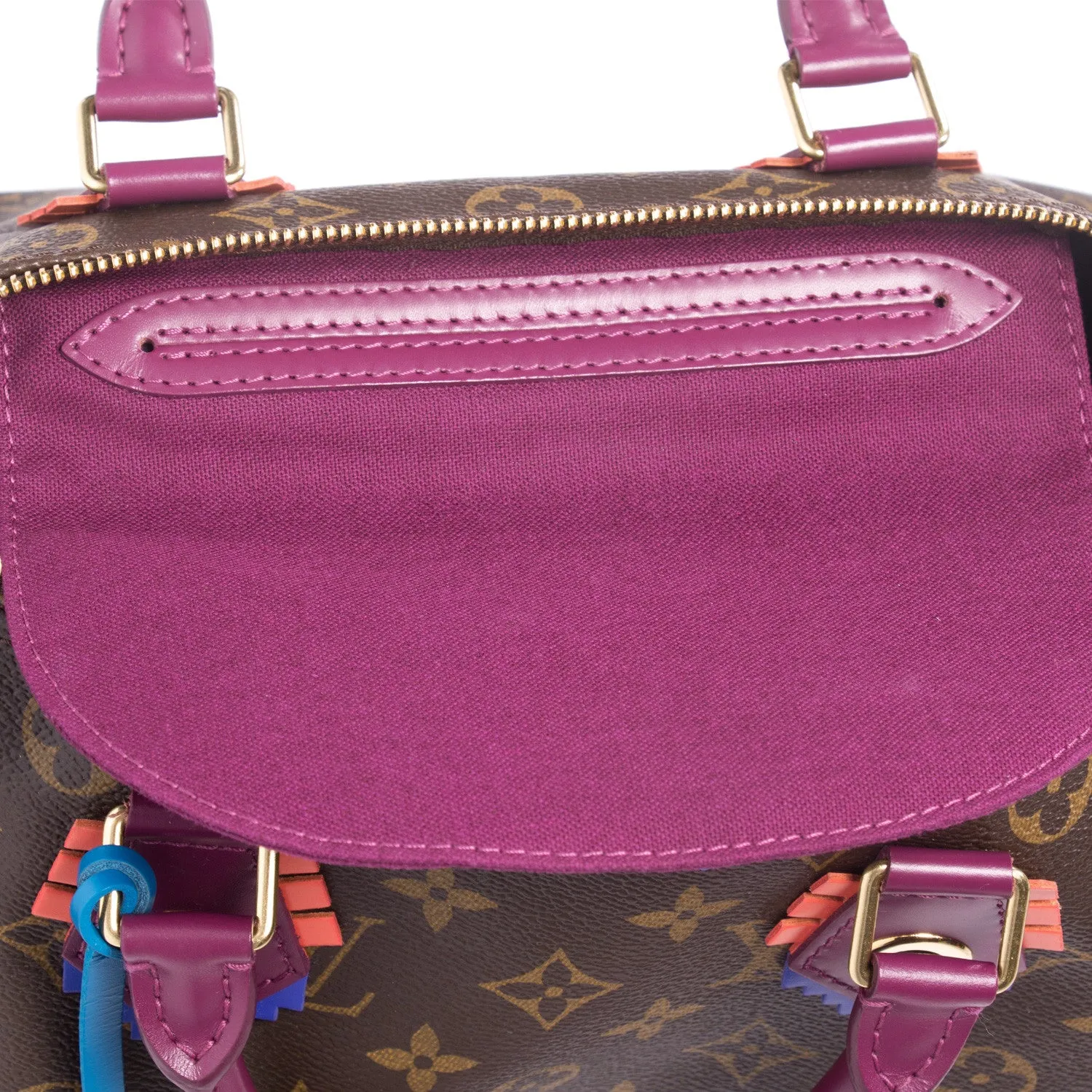 Louis Vuitton Speedy 30 Totem