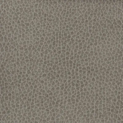 Matter-1121
