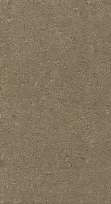 Mica-421